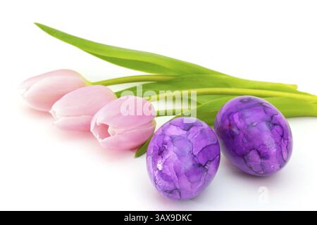 Pink tulips with purple Easter eggs on white background Pink tulips with purple Easter eggs on white background Stock Photo