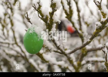 Colourful Easter eggs hanging on a tree covered in snow Stock Photo