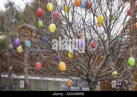 Colourful plastic Easter eggs hanging on a tree in the garden Stock Photo