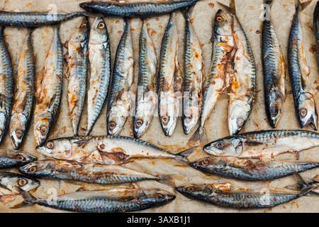 A lot of mackerel lies on parchment paper and is grilled. Stock Photo