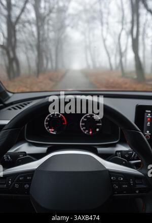 Point of view: driving through autumn forest. Driver's first person view: dense morning fog in woodland. Stock Photo
