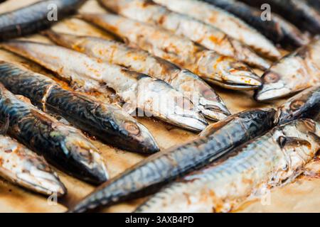 A lot of mackerel lies on parchment paper and is grilled. Stock Photo