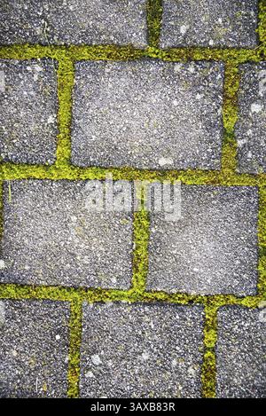 Grey paving stones with green overgrown joints - background grid pattern Stock Photo