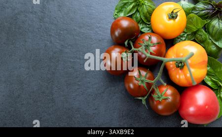 Fresh heirloom tomatoes with basil on dark stone background. A collection of colorful heirloom tomatoes, featuring red, yellow, and brown varieties Stock Photo