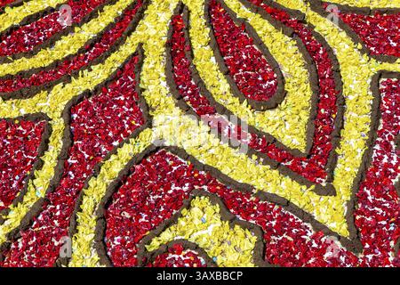 The coloured drawings on the ground, useful for background Stock Photo