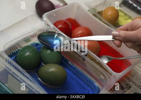 Easter eggs are coloured differently, Austria, Europe Stock Photo
