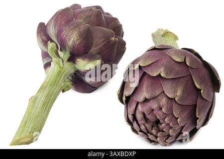 Two fresh artichokes - isolated on white background Two fresh artichokes - isolated on white background Stock Photo