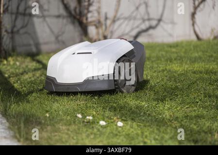 Automatic lawn mower ensures a short lawn cut - close-up of robotic lawn mower Stock Photo