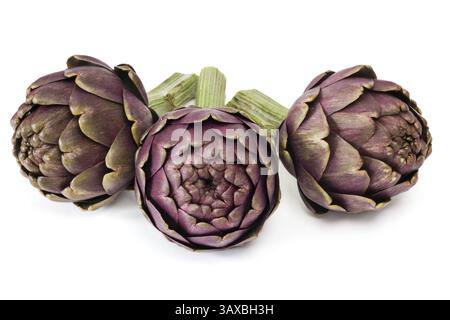 Three fresh artichokes on white background Three fresh artichokes on white background Stock Photo