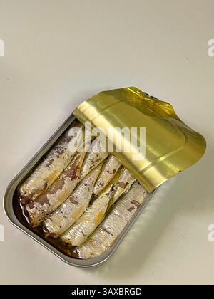 Canned sardines. Stock Photo