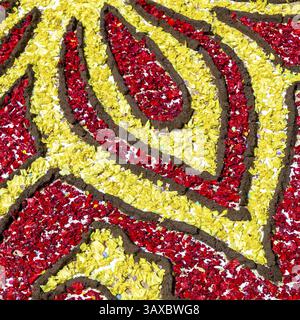 The coloured drawings on the ground, useful for background Stock Photo
