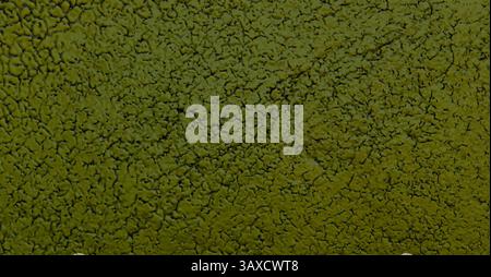 enameled creamic cracked surface for background or texture Stock Photo