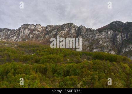 Steep rocky mountain range rising above dense spring forest under an overcast sky Stock Photo