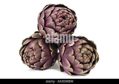 Three fresh artichokes - isolated on white background Three fresh artichokes - isolated on white background Stock Photo