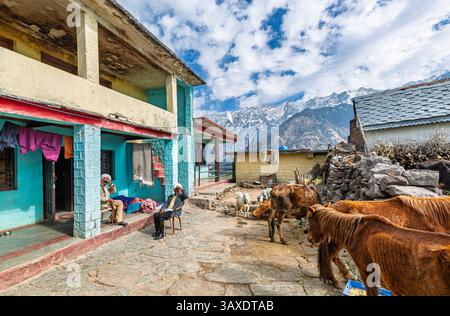 Two elderly local men wearing turbans sit in a farmyard porch in the village at Naddi View Point, famous for views of the massive Dhauladhar Range Stock Photo