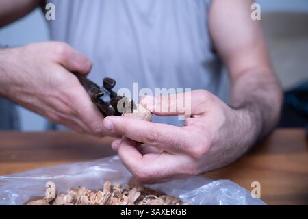 The man is cracking walnuts at home. Stock Photo
