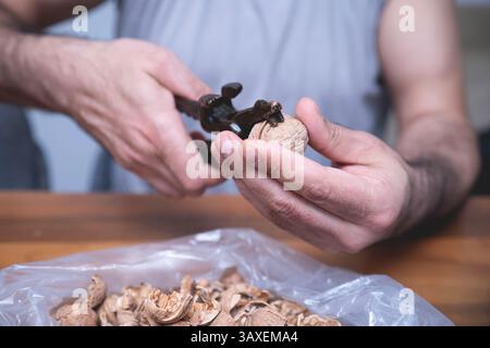 The man is cracking walnuts at home. Stock Photo