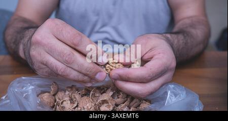 The man is cracking walnuts at home. Stock Photo