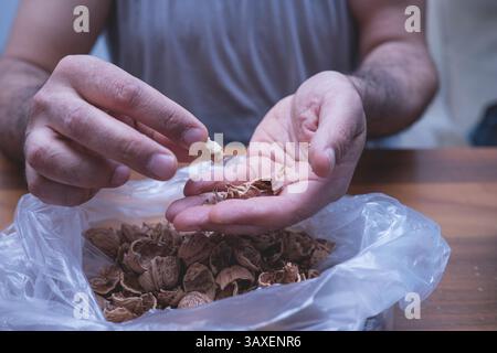 The man is cracking walnuts at home. Stock Photo