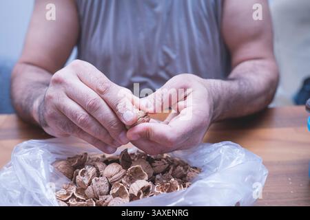 The man is cracking walnuts at home. Stock Photo