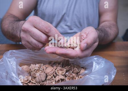 The man is cracking walnuts at home. Stock Photo