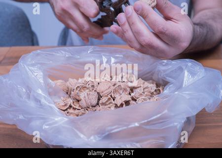 The man is cracking walnuts at home. Stock Photo