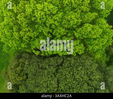 A direct top-down aerial view above a semi-truck, tractor trailer being ...