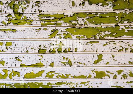 Peeling green paint on white wooden planks creating a textured background Stock Photo