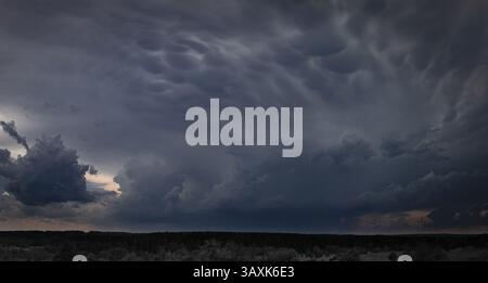 A panoramic view of mammatus cloud formations rolling above a dense forest landscape. Stock Photo