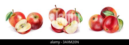 Watercolor apple. Red fruit compositions for juice, autumn food. Label of nature harvest dessert. Realistic image. 3d fresh delicious whole and half product isolated. Vector botanical illustration Stock Vector