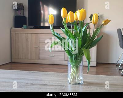 Bunch of yellow colored tulip flowers in a vase on a table in a living room. Decorative around the time of Easter. Stock Photo
