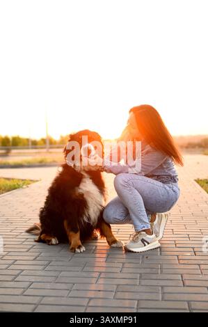 Woman sits down next to big Bernese Mountain Dog on sidewalk at sunset and strokes her pet, enjoying moment together. Concept love and care for pet, dog walking, pet products. Vertical Stock Photo