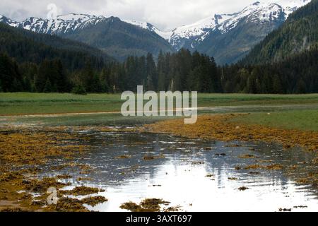 Jun 30, 2016 - Juneau, Alaska, U.S. - Juneau; Alaska; hiking; Thomas Bay; Safari Endeavour; hike; Petersburg; Scenery Cove; landscape; calm; calmly; calmness; characteristics; nature; snow; coast; coastal; coastline; country; cove; woal; walking; day; woman; forest; frederick sound; glassy; greatland; inside passage; land mass; landscape; mount; mountain; mt; national forest; nature; people; person; fog; cloud; north america; ocean; pacific; pacific ocean; panhandle; passage; petersburg; place; range; region; regional; royalty free; scene; scenery; scenery cove; scenic; scenic landscape alaska Stock Photo