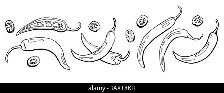 Hand drawn chili pepper set in line style. Vector illustration isolated on white Stock Vector