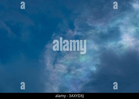 A captivating shot of wispy clouds displaying vibrant, rainbow-like iridescence against a backdrop of clear blue sky. This atmospheric optical phenome Stock Photo