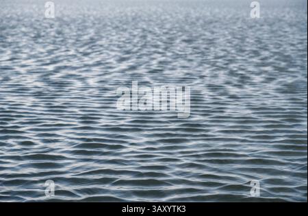 Close up of water ripple texture background. Wavy water surface. Stock Photo