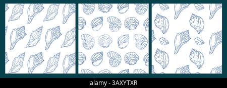 Detailed illustration of seashell patterns displayed in three panels Stock Vector