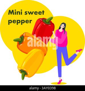 A woman holds red, yellow, orange mini sweet pepper Isolated vector illustration. Stock Vector