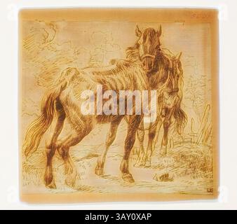 Two majestic horses stand side by side in a lush field of grass, their ...