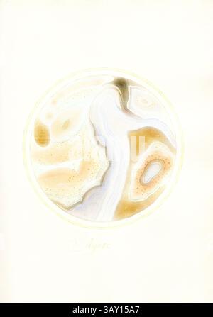 A delicate agate design features soft, swirling patterns of muted earth tones, highlighted with gentle waves of light. The intricate formations create a mesmerizing sense of depth and natural beauty., Agata 7, Cross section of a rock, signed: Gaetano Piccini F, Fig. 54, p. 115, Piccini, Gaetano (fec.), Gaetano Piccini: [Breccia antica]. [Rom]: [s.n.], [17--], Classic art with a modern twist reimagined by Artotop Stock Photo