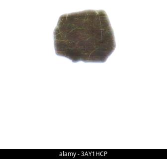 A smooth, irregularly shaped stone with faint lines and textures, set against a stark, minimal background., European, Rock Specimen, Schist, 21/8 x 1 7/8 x 1/4 in., Classic art with a modern twist reimagined by Artotop Stock Photo