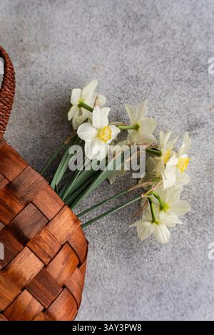 From above, white daffodils gently lie next to a woven wicker basket on a textured gray background, capturing a rustic and natural aesthetic. Stock Photo