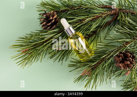 Top view of a glass dropper bottle of essential oil nestled among fresh green pine branches and cones on a light green background. Stock Photo
