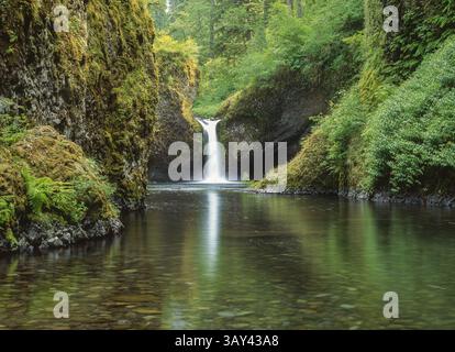 A picturesque waterfall cascades into a tranquil pool, surrounded by lush green foliage and moss covered rocks, creating a serene and refreshing natur Stock Photo