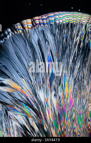 Stunning, colorful patterns of hippuric acid crystals under a microscope. The crystals display a myriad of colors including blue, orange, white, and p Stock Photo