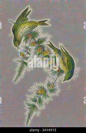 Two stylized birds perch on a branch, surrounded by intricate foliage and small cones. The vibrant outlines and delicate details create a sense of movement and harmony within a serene natural setting., Pine Linnet - Black Larch, Siskin (Linaria pinus), East American Larch (Larix laricina), Signed: J.J. Audubon, J.T. Bowen, lithograph, Pl. 180 (Bd. 3), Audubon, John James (drawn); Bowen, J. T. (lith.), 1856, John James Audubon: The birds of America: from drawings made in the United States and their territories. New York: Audubon, 1856, Classic art with a modern twist reimagined by Artotop Stock Photo