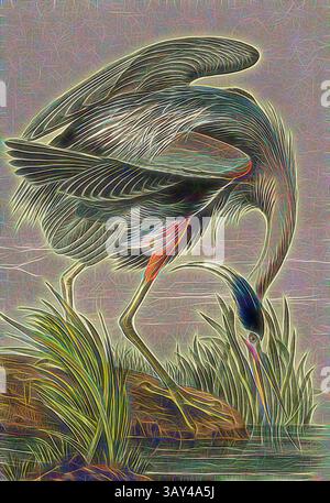 A graceful heron stands poised, its long legs partially submerged in tranquil waters as it delicately searches for food among the lush green grasses surrounding it. The intricate patterns of its feathers and the soft waves of the water create a serene and captivating scene., Great blue Heron, Great Blue Heron (Ardea herodias), Signed: J.J. Audubon, J.T. Bowen, Lithograph, Pl. 369 (Vol. 6), Audubon, John James (drawn); Bowen, J. T. (lith.), 1856, John James Audubon: The birds of America: from drawings made in the United States and their territories. New York: Audubon, 1856, Classic art with a Stock Photo