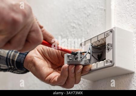 Electrician worker with screwdriver fixes electrical wires in the terminals of the diverter switch of an electrical system. Construction industry. Stock Photo