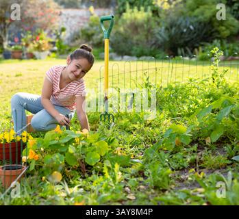Girl kneeling in backyard garden bed tending leafy plants with hand trowel, garden fork, copy space Stock Photo