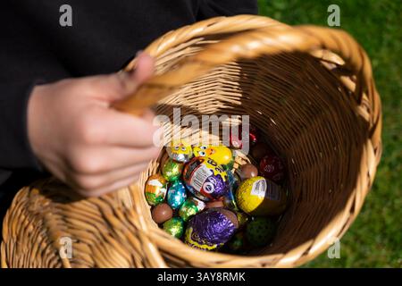 Child's hand holding basket of chocolate foil wrapped miniature Easter eggs collected on an egg hunt in Wales UK on easter day 2025  KATHY DEWITT Stock Photo